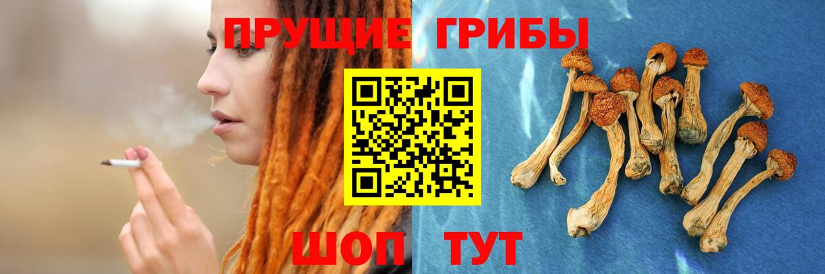 Галлюциногенные грибы мухоморы Киселёвск